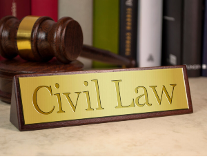 We provides comprehensive legal services to our clients under litigation of civil laws including money recovery, recovery disputes, suits related to children, wards, guardianships, estate, property, custody, execution, claims, partitions and various petitions etc.